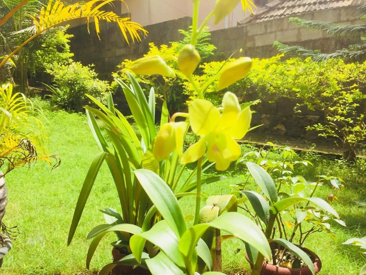 Ganesh House Ayurveda Homestay Kovalam Inde