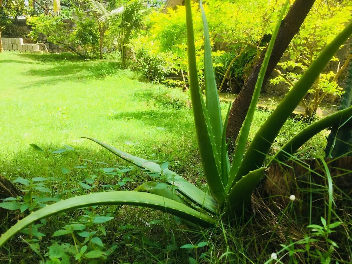 Ganesh House Ayurveda Homestay Kovalam 0*,  India